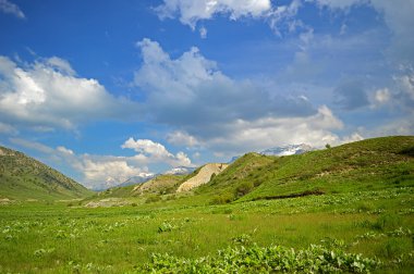 Arka planda dağlar yeşil çayır