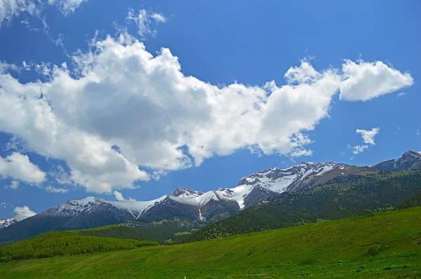 Pradera verde con montañas nevadas en el fondo — Foto de Stock