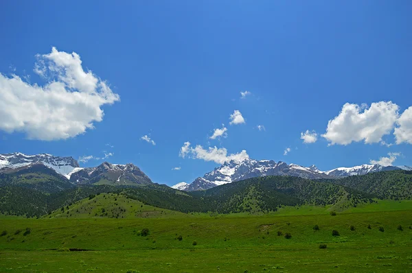 Prado verde com montanhas nevadas no fundo — Fotografia de Stock