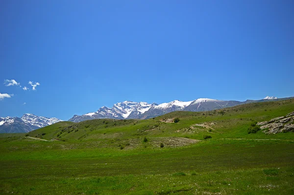 バック グラウンドで雪に覆われた山々 と緑の草原 — ストック写真