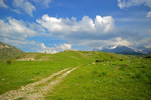 Pradera verde con montañas en el fondo — Foto de Stock