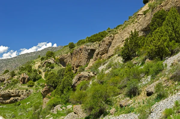Скелясті гори в Киргизії — стокове фото