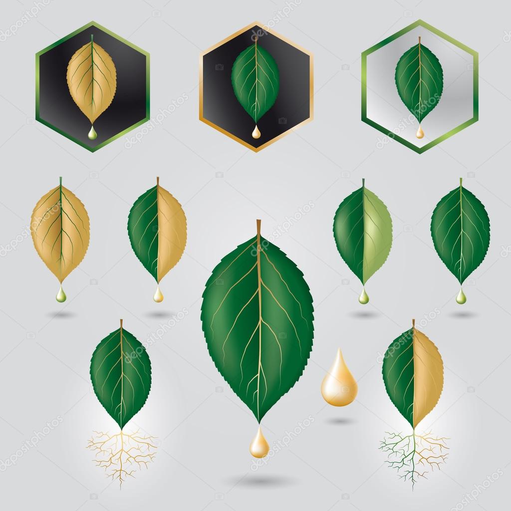 Leaf with precious sap logo, icon set