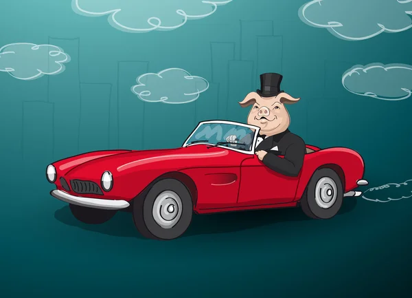 büyük şişman zengin domuz kırmızı cabrio sürüş