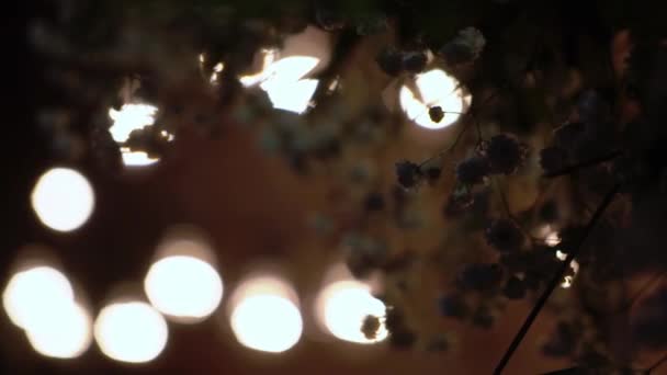 Ghirlande di lampade ad incandescenza la sera sullo sfondo di un muro di mattoni — Video Stock
