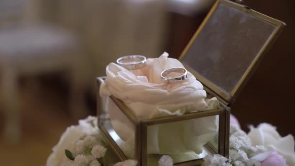 Anneaux de mariage lors de la cérémonie dans une boîte en verre. — Video
