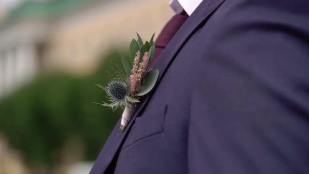 Boutonniere für den Bräutigam am Hochzeitstag, schönes Paar — Stockvideo