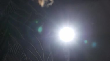 Kadın bornozunu çıkarıyor, sutyen iç çamaşırıyla dikiliyor aynanın karşısında dikiliyor yatak odasında vücuduna bakıyor.