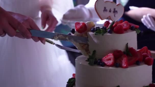 Een bruidstaart snijden met een mes. Dessert, het paar, de bruid en bruidegom gesneden — Stockvideo