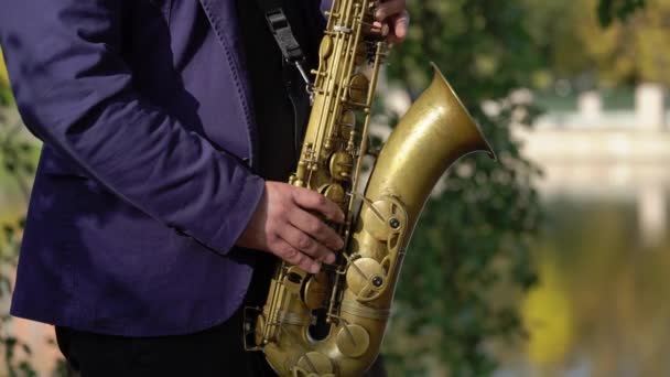 Saxophonist playing saxophone at stage. Sax musician player with band at concert — Stock Video