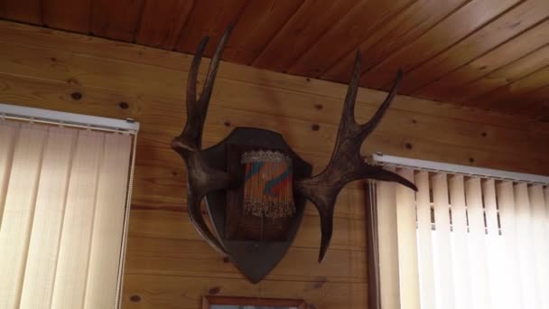 Rogi jelenia na ścianie wewnątrz drewnianego domu dekoracyjnego. Łowiectwo — Wideo stockowe