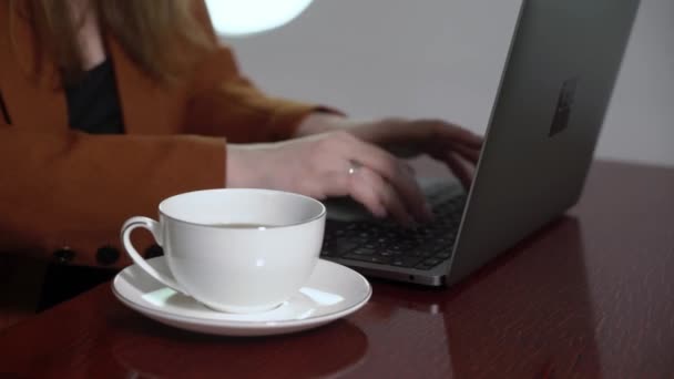 Жінка в літаку працює на ноутбуці і п'є каву. Бізнес-леді в приватному реактивному або першому бізнес-класі з комп'ютером. Розкішні подорожі — стокове відео