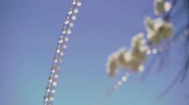 Şeffaf kristaller, rüzgarda uçuşan parlak boncuklar. Düğün için dekorasyon.