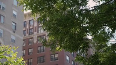 Kırmızı Tuğla Kule Yeşil Kule, Güneş Işıklı Pencereler ve Gölgeli Balkonlar Yapraklı Önden Çerçeveli Konutlar, Sakin Şehir