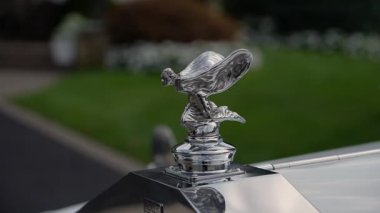 NEW YORK, ABD - 7 Ekim 2025: Cilalanmış Krom Başlıklı Süs Eski Lüks Arabanın Kapanışı, Sığ Saha Derinliği, Bulanık Bahçe Arkaplanı, Şekil Ayrıntıları