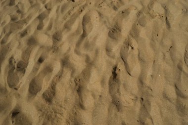Kum dokusu veya deseni. Kumlu bölge..
