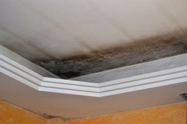 Mold in the ceiling