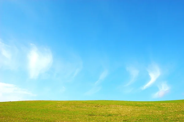 Hill se zelenou trávou a modrá obloha — Stock fotografie