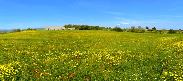 Blommig landskap — Stockfoto