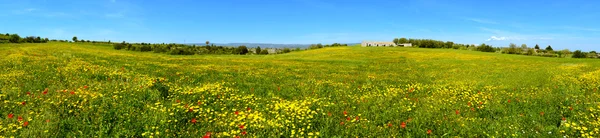 Blommig landskap — Stockfoto