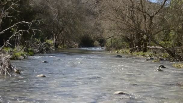 Fiume di montagna - Anapo — Vídeo de Stock