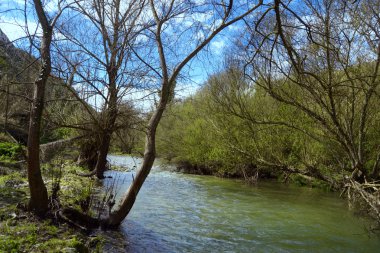 Fiume di montagna - Anapo