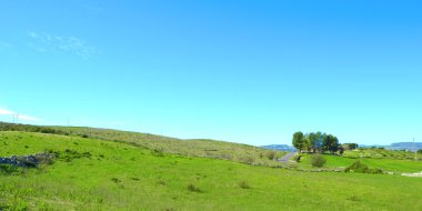 Collina con prato verde