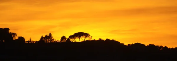 夕日の風景のシルエット — ストック写真