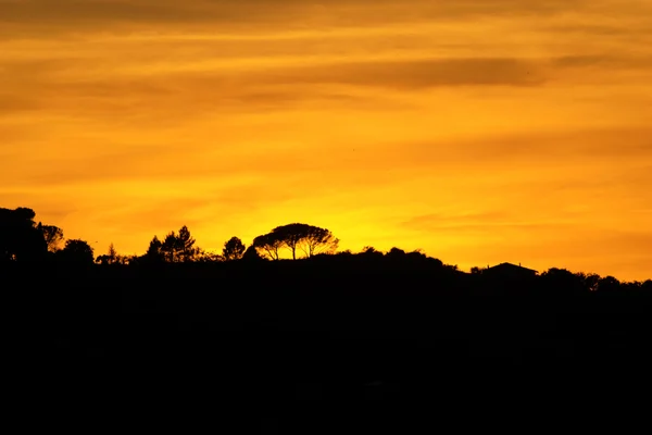 Silueta de un paisaje al atardecer —  Fotos de Stock