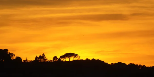 Silhueta de uma paisagem em pôr-do-sol — Fotografia de Stock