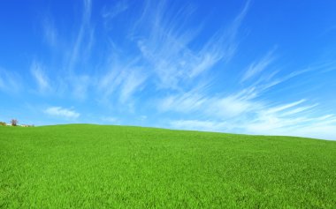 Cirrus bulutlar ile yeşil tepe