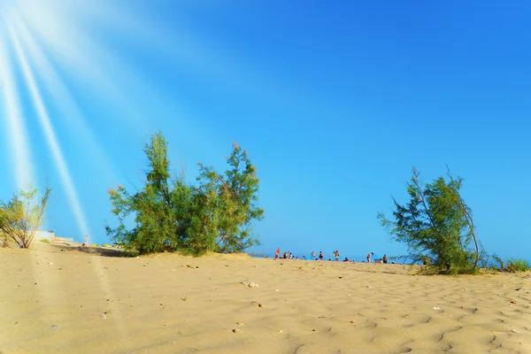 Dunas de areia no mar — Fotografia de Stock