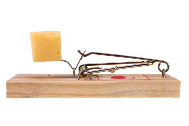 Photo of a mouse trap with cheese as bait, concept clipart