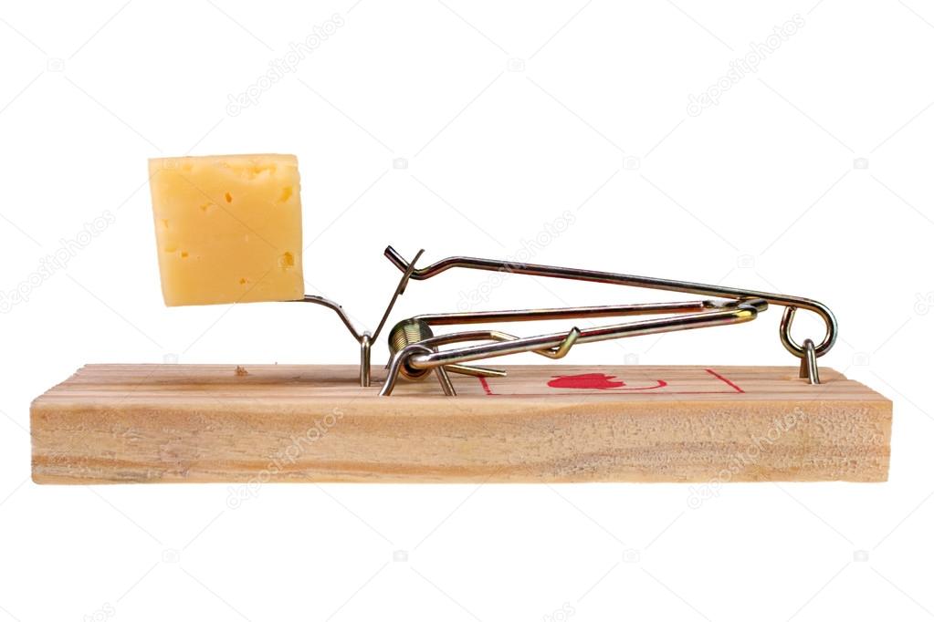 Photo of a mouse trap with cheese as bait, concept