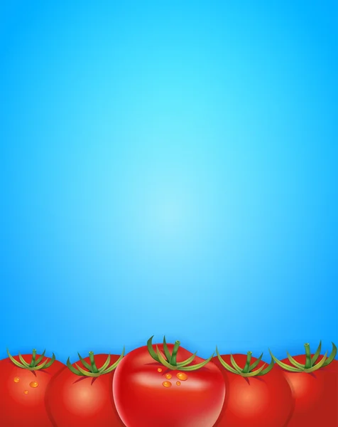Vektorhintergrund mit Tomaten — Stockvektor