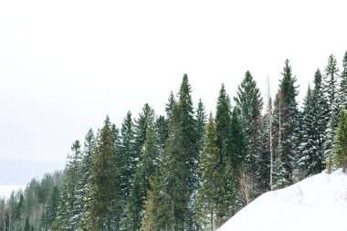 Kayak merkezinin yamacında karla kaplı ağaçlar. Kış sporları - snowboard ve alp kayağı. Metre ve kar fırtınası. Rusya