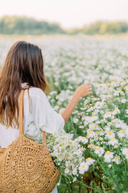 Güzel bir kadın papatya tarlasından hoşlanıyor, güzel bir kadın çiçeklerin çayırında uzanıyor, güzel bir kız dışarıda dinleniyor, eğleniyor, çiçek tutuyor, mutlu genç bayan ve bahar yeşili doğa, uyum kavramı.