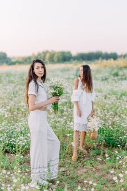 İki esmer kız bir buket kır çiçeğiyle çiçek açmış papatyaların ortasında dikiliyorlar. Yazın ve doğanın tadını çıkar. Yaz için modaya uygun görünüm konsepti.