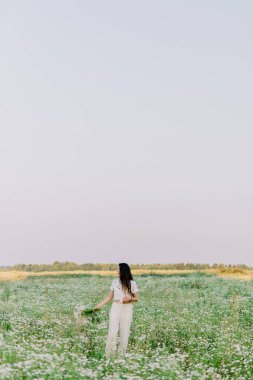 Beyaz elbiseli genç bir kadın çiçek açan papatya çiçeğinin ortasında yürür. Yumuşak günbatımı ışığı ve ılık bir yaz günü hissi..