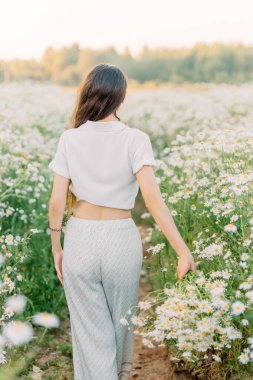 Beyaz elbiseli genç bir kadın çiçek açan papatya çiçeğinin ortasında yürür. Yumuşak günbatımı ışığı ve ılık bir yaz günü hissi..