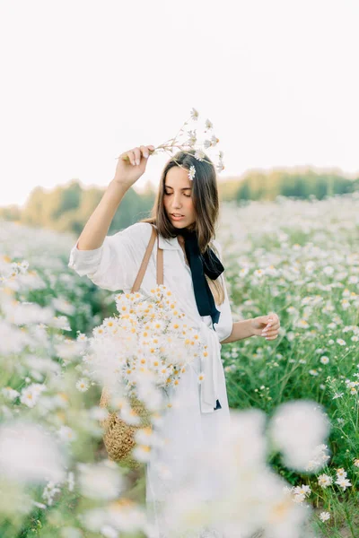 Bella Donna Godendo Campo Margherita Bella Femmina Sdraiata Nel Prato — Foto Stock