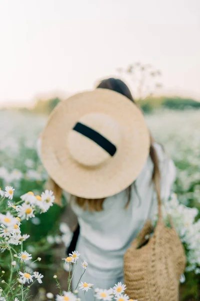 Bella Ragazza Con Margherite Camomilla Bouquet Vista Posteriore Estate Tranquilla — Foto Stock