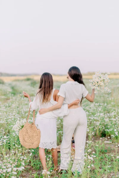 Due Ragazze Brune Alzano Abbracciano Nel Mezzo Prato Fiorito Margherite — Foto Stock