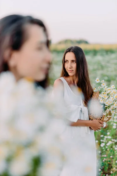 Due Ragazze Brune Trovano Nel Mezzo Prato Fiorito Margherite Camomilla — Foto Stock