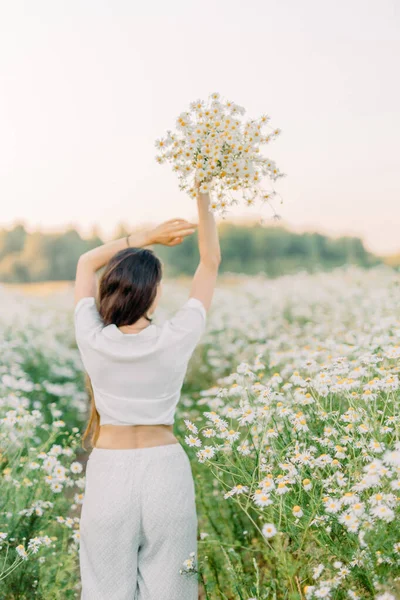 Çiçekli papatya tarlasının ortasında esmer bir kadın papatya çayını seviyor ve bir buket yabani çiçek topluyor. Alerji ve polinezi..