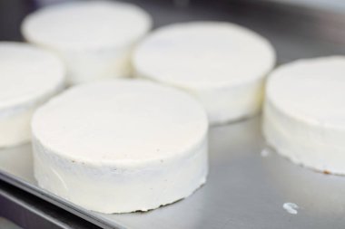Şekerleme fabrikasında beyaz kremalı pasta süslemek. Un, şeker ve yumurtadan yapılan tatlı tatlıların toplu üretimi.