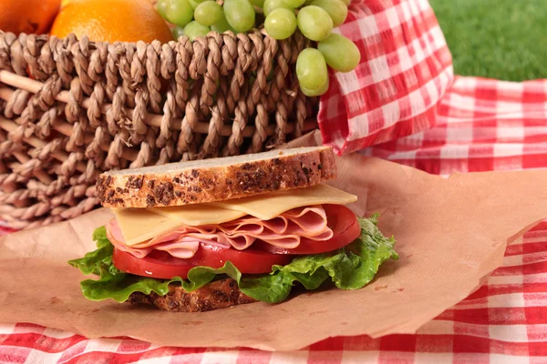 Piknik kosár sonkás-sajtos szendvics — Stock Fotó