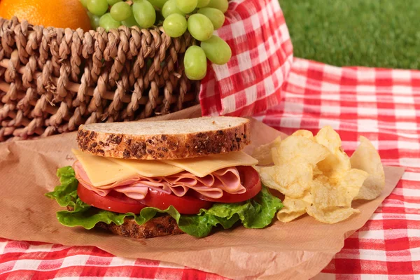 Nyári piknik kosár sonka és sajt szendvicset — Stock Fotó
