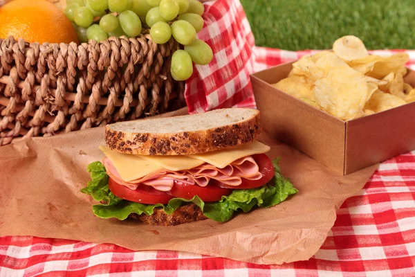 Picnic basket ham and cheese sandwich — Stock Photo, Image