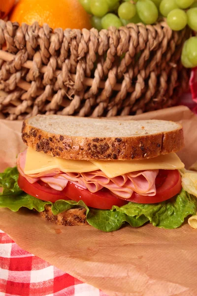피크닉 바구니 햄과 치즈 샌드위치를 닫습니다. — 스톡 사진